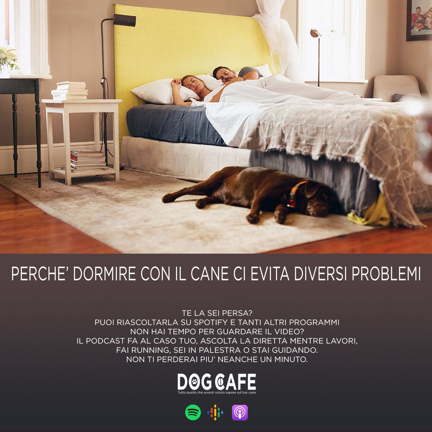 Dog Cafe Podcast