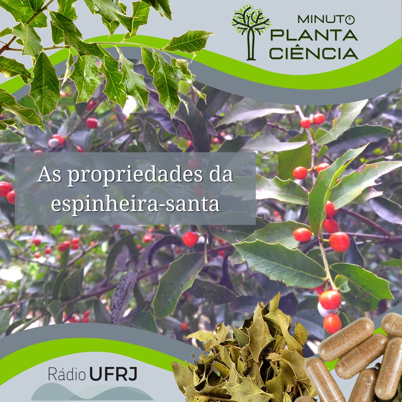 PlantaCiência