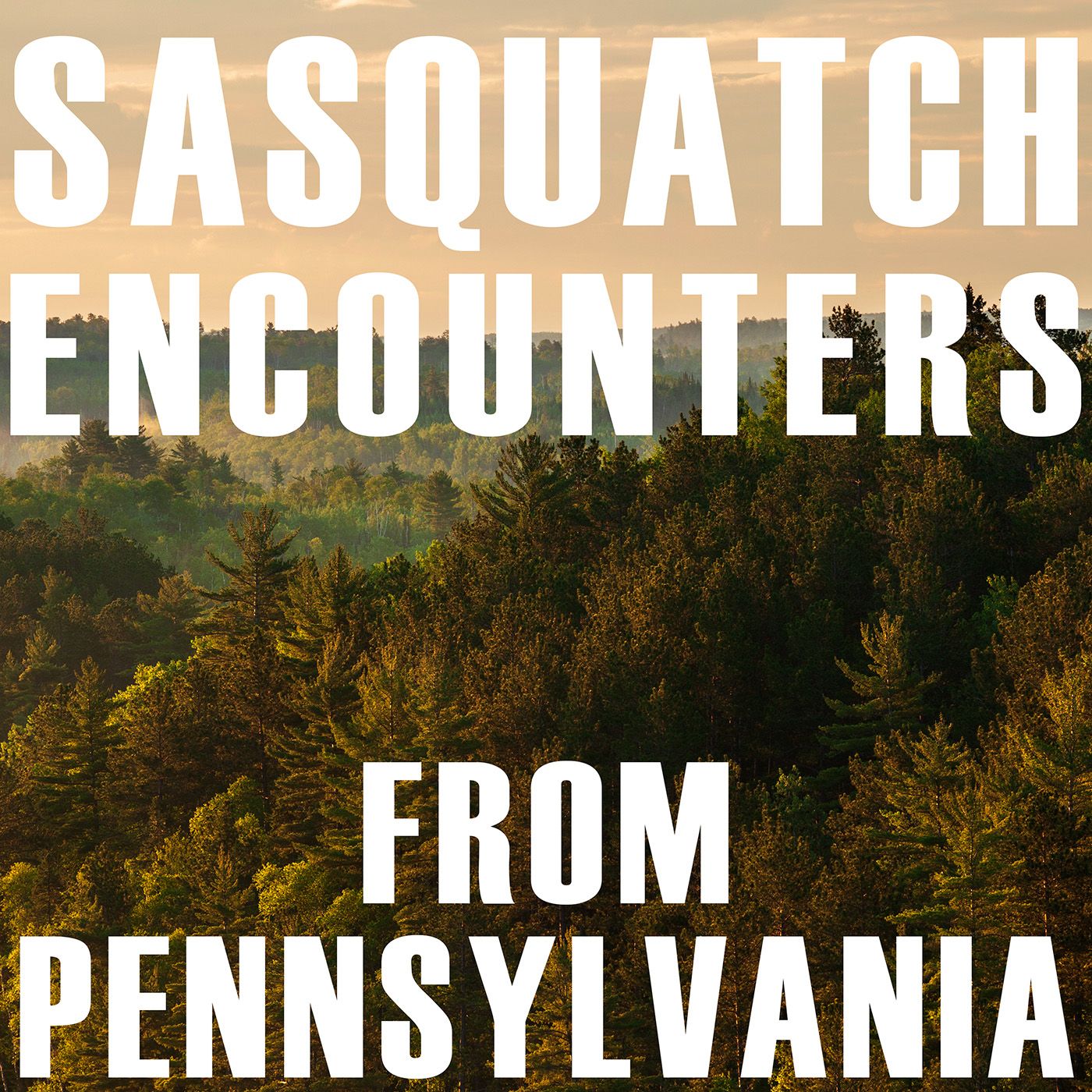 Bigfoot Encounters from Pennsylvania | A Multitude Of Activity From The Outdoors!