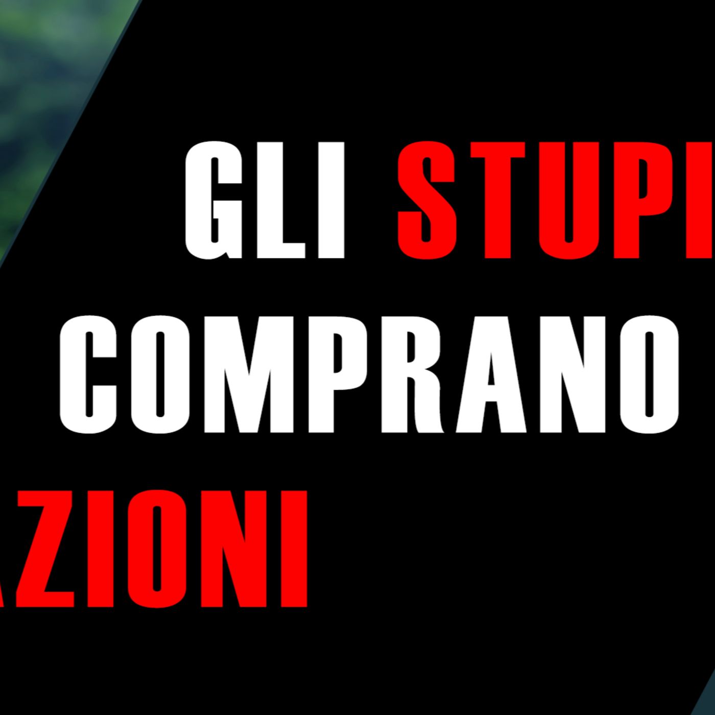 Gli STUPIDI comprano AZIONI singole