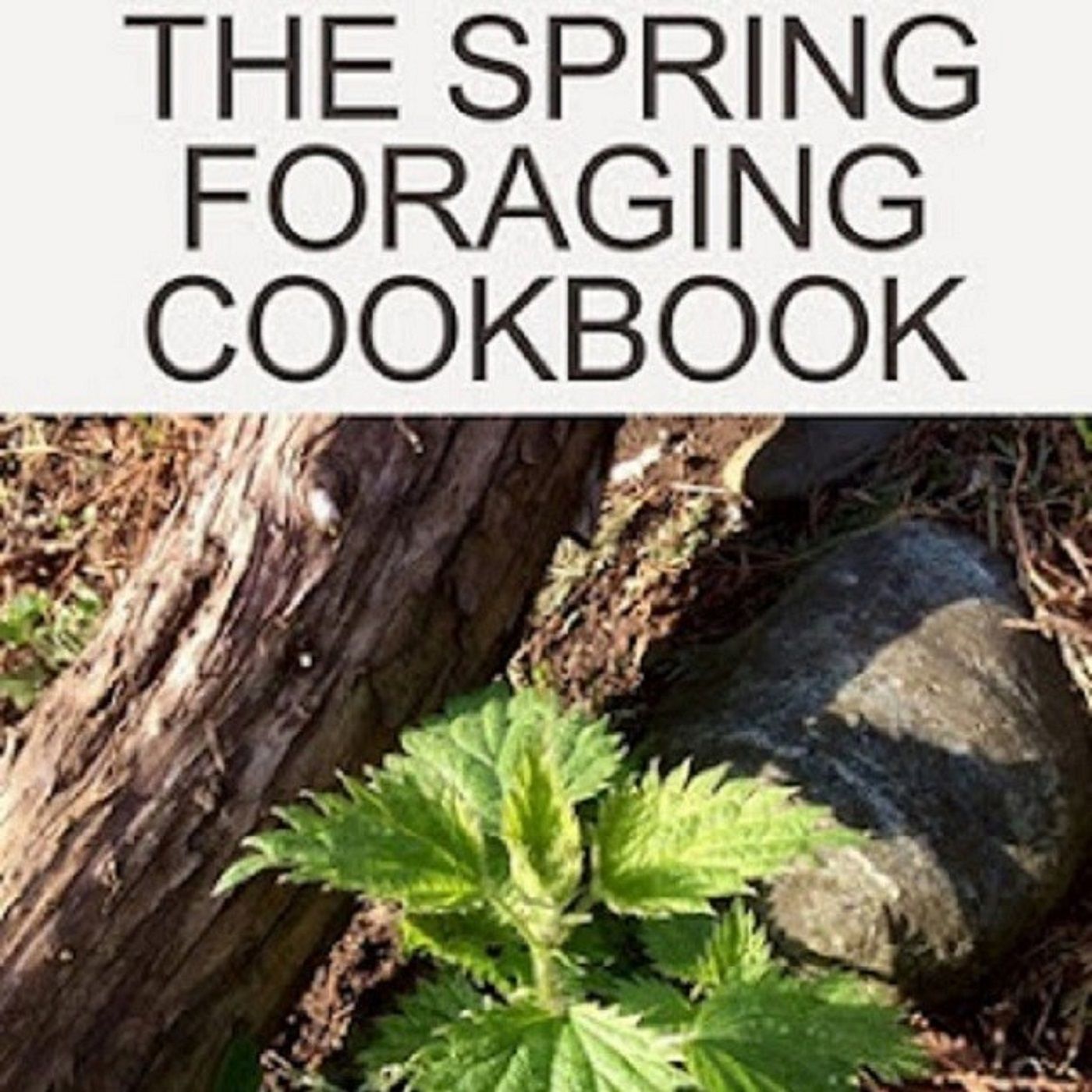 Show 282: The Spring Foraging Show