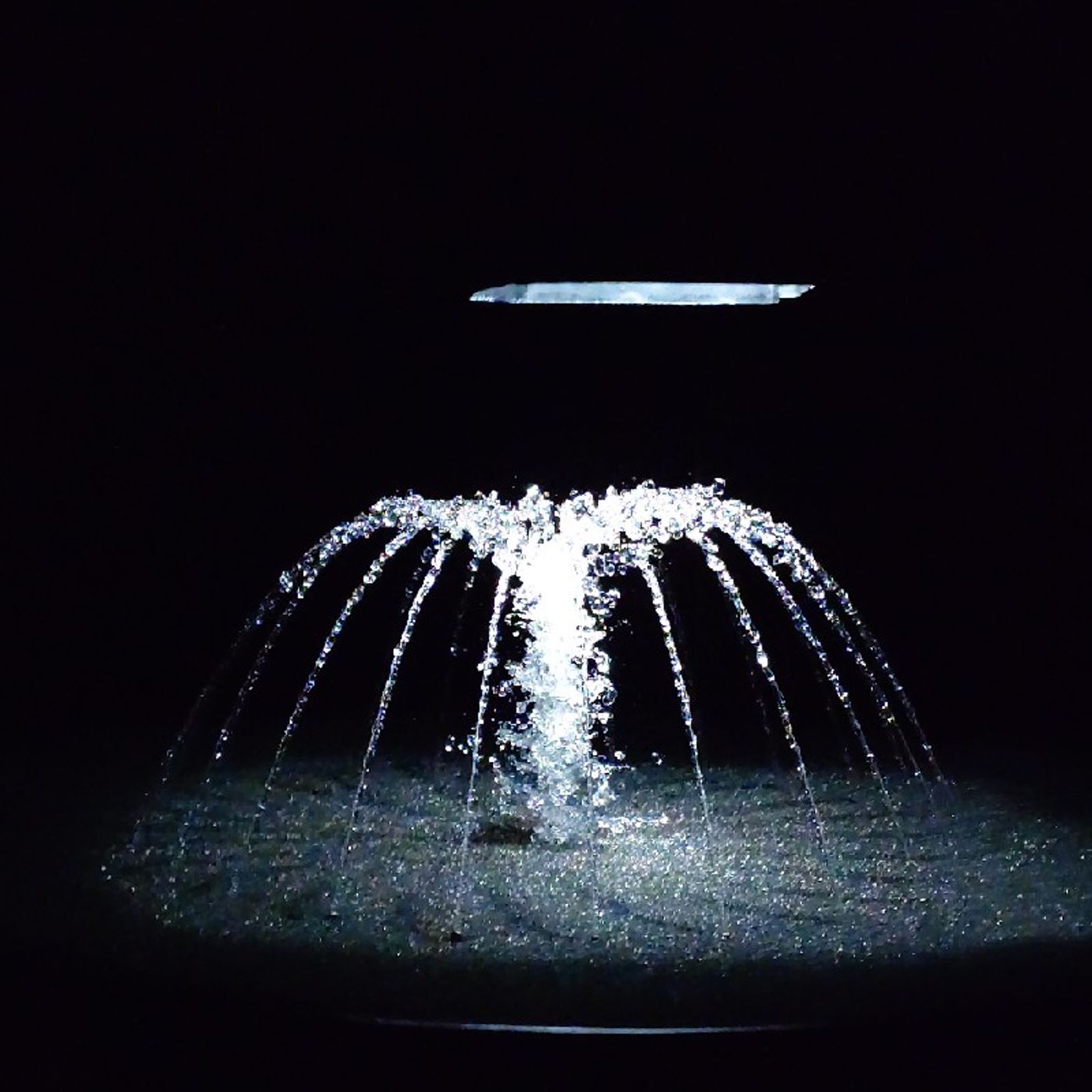 Ep378 - Diane's Tarot Diary: 我的塔羅日記•閒聊-為7月5日抽張牌~