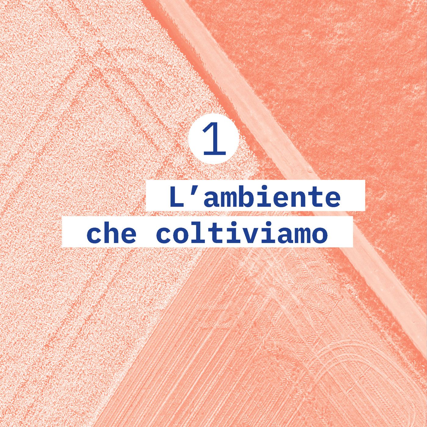 1. L'ambiente che coltiviamo