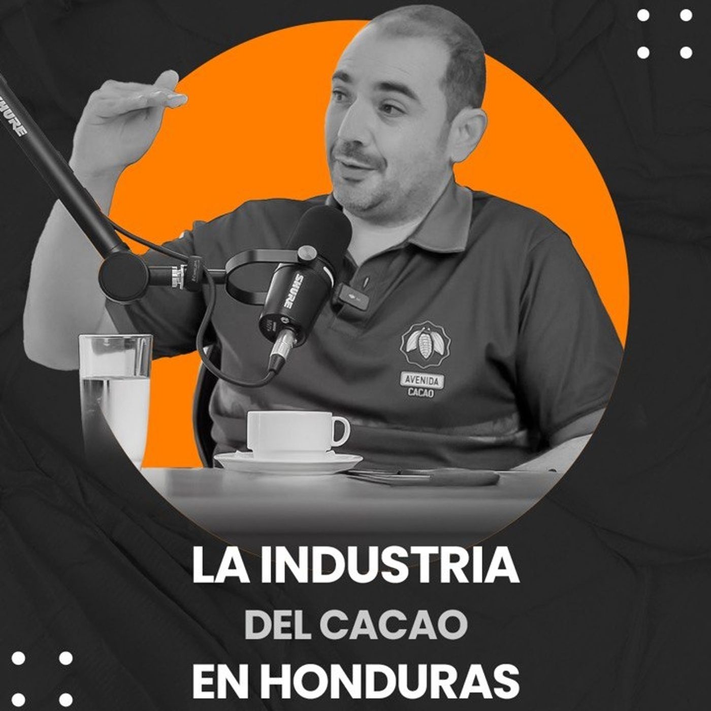 EPISODIO 08 - LA INDUSTRIA DEL CACAO EN HONDURAS episode artwork