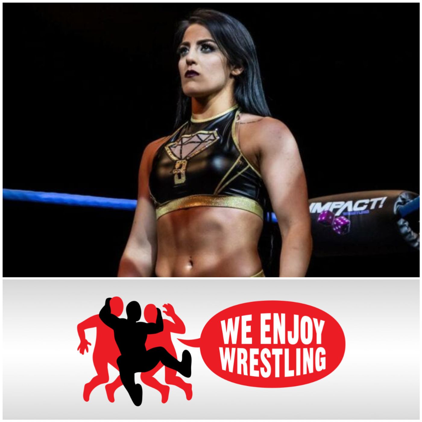 We Enjoy Wrestling