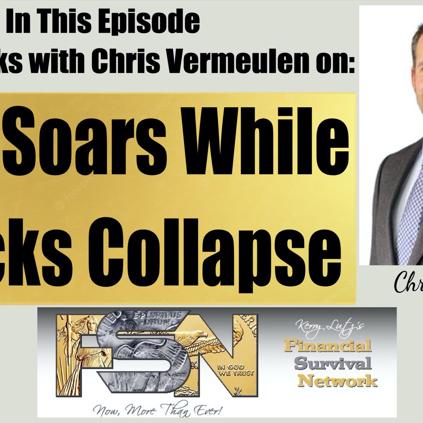 cover of episode Gold Soars While Stocks Collapse - Chris Vermeulen #6259