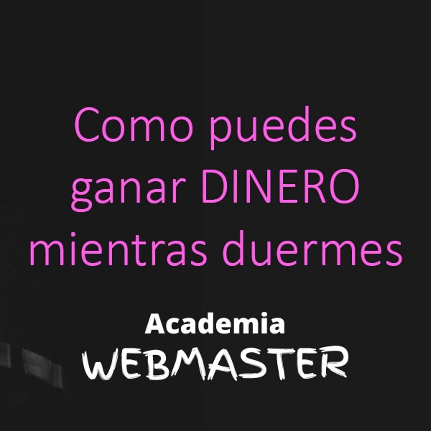Academia Webmaster