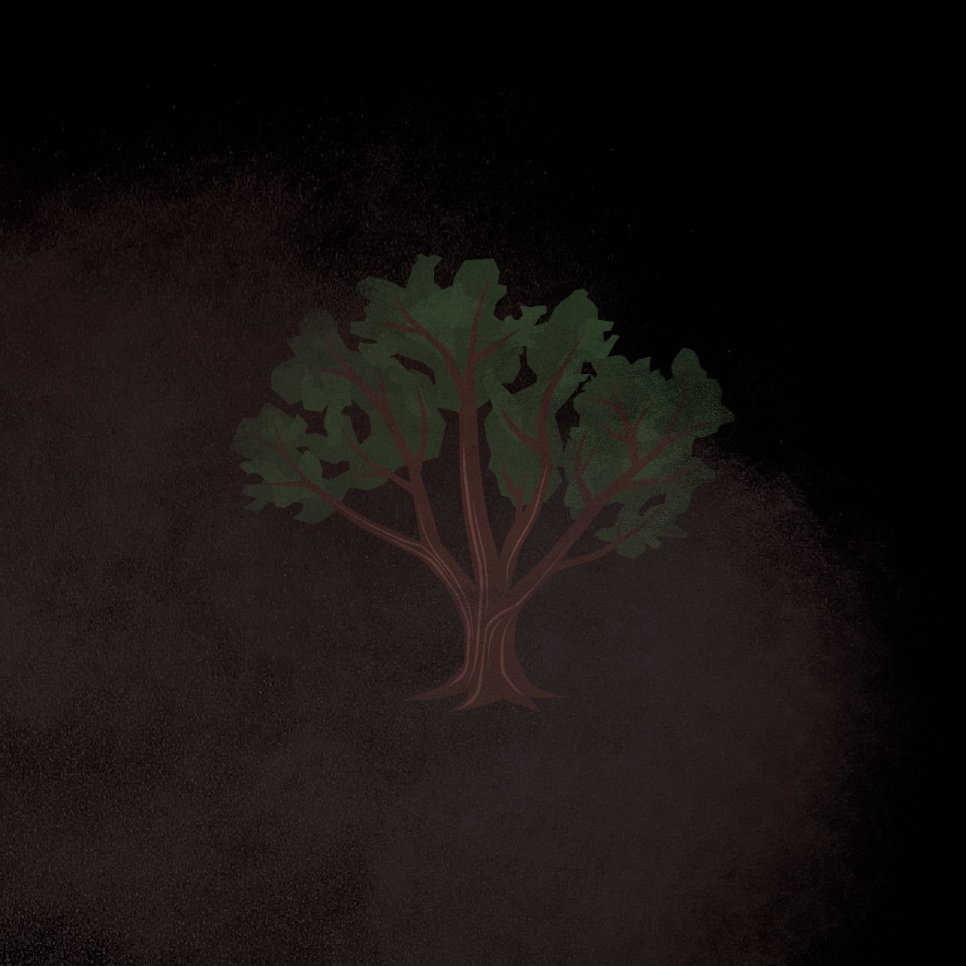 14 | The Pecan Grove