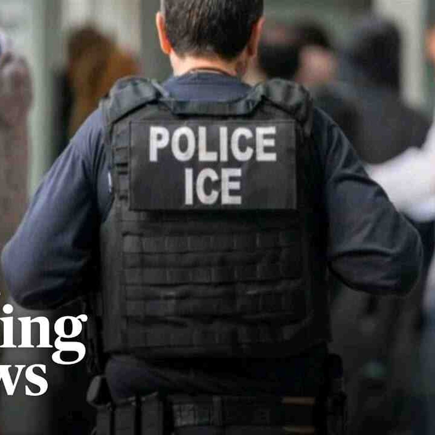 What to know about ruling to lift Trump pause on certain immigration applications(MP3_160K) episode artwork