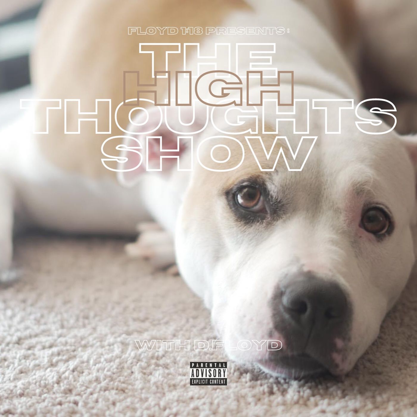 Floyd 1:18 Presents High Thoughts