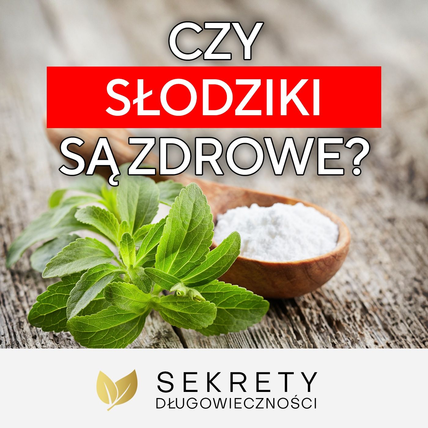 Jak zapobiec cukrzycy bez leków? Dr Tadeusz Oleszczuk [Sekrety Długowieczności]