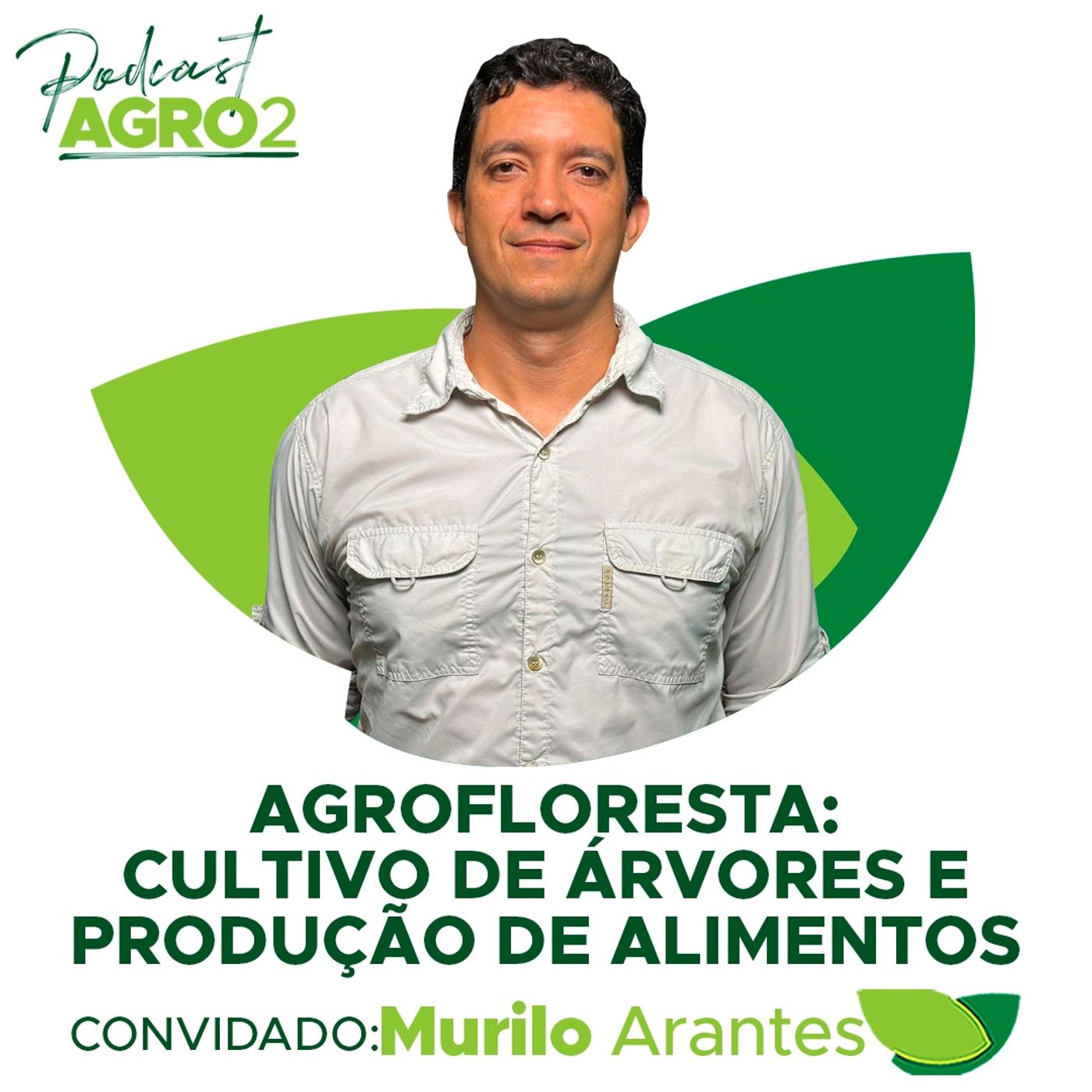 Agrofloresta une cultivo de árvores e produção de alimentos conservando água e solo #341 episode artwork