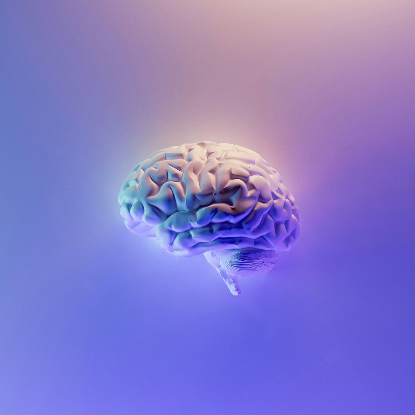 Domenico Mercurio: «Bisogna allenare il cervello come gli altri muscoli» episode artwork