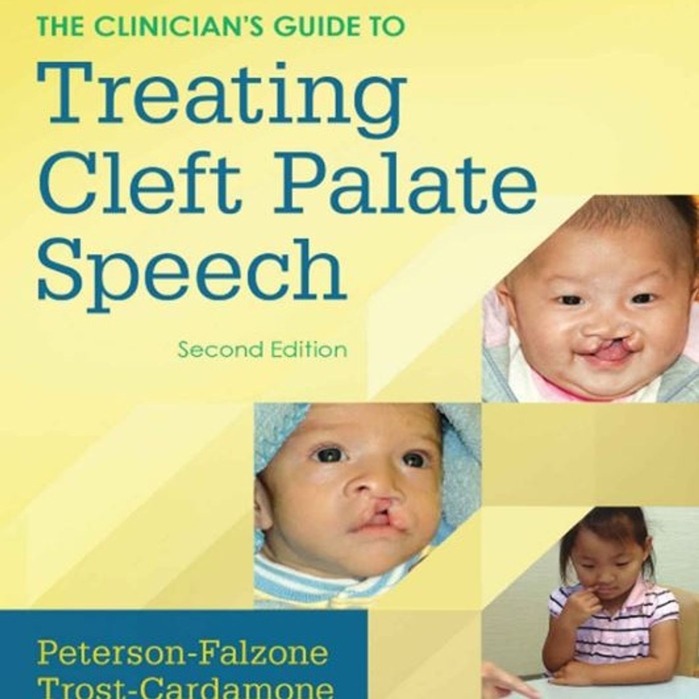 The Clinician's Guide to Treating Cleft Palate Speech