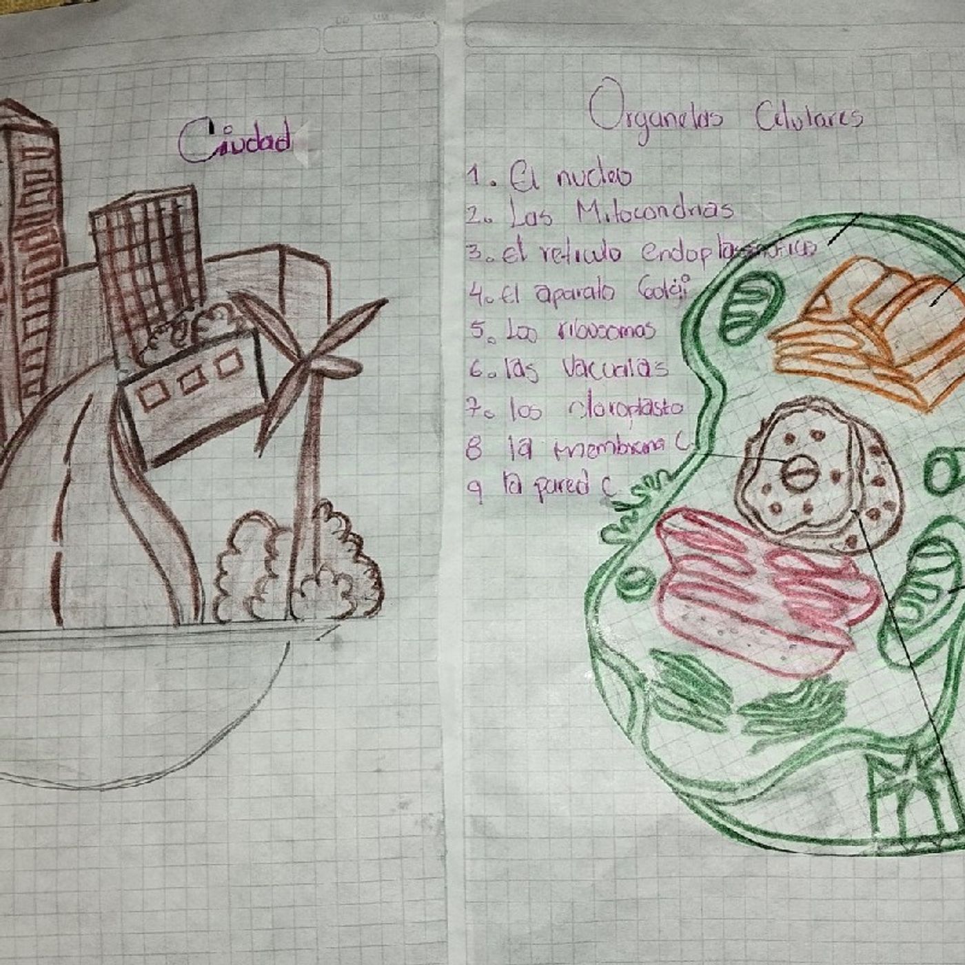 Celulas y ciudad episode artwork