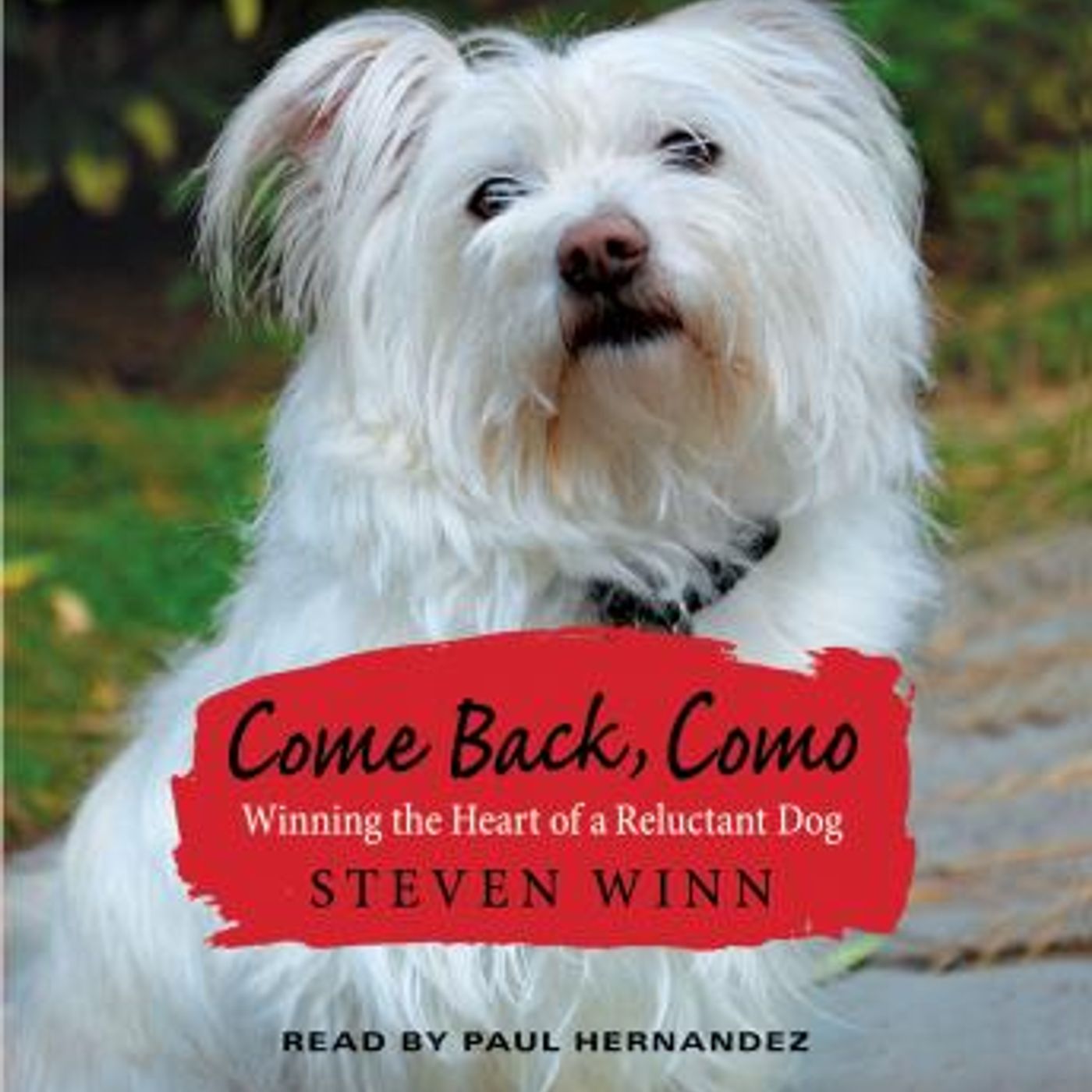 Explore New Full Audiobooks in Non-Fiction, Animals & Nature