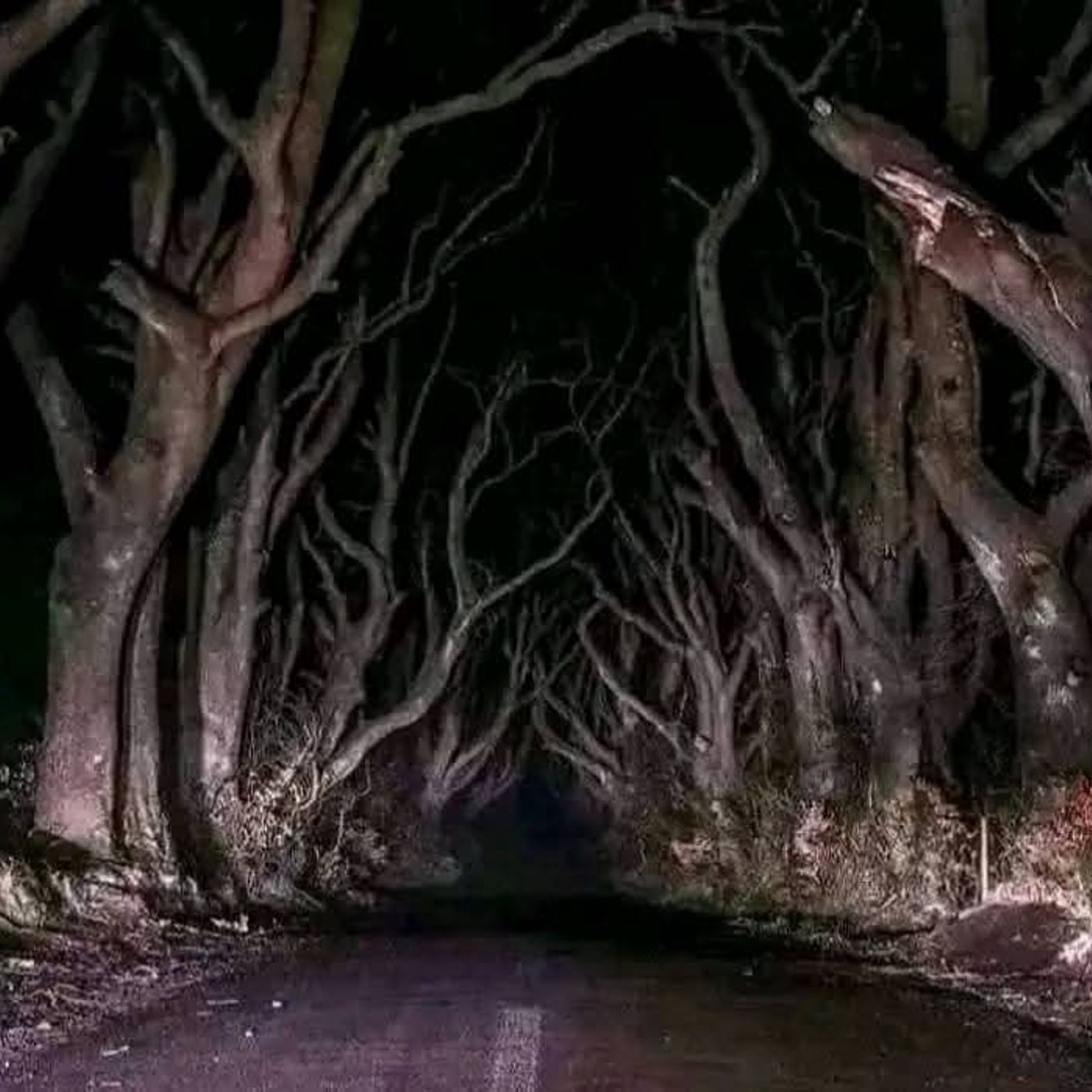 GHOST STORIES