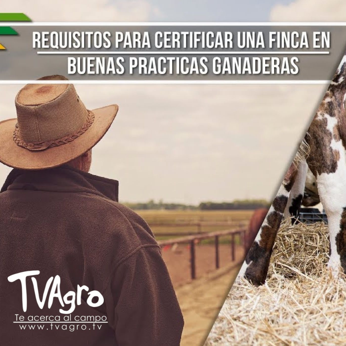 TV AGRO