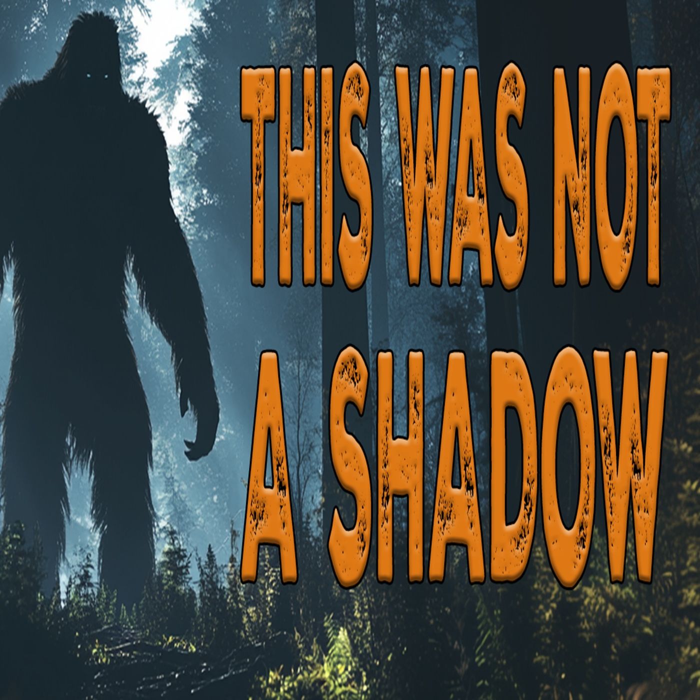 This Was NOT a Shadow - BIGFOOT