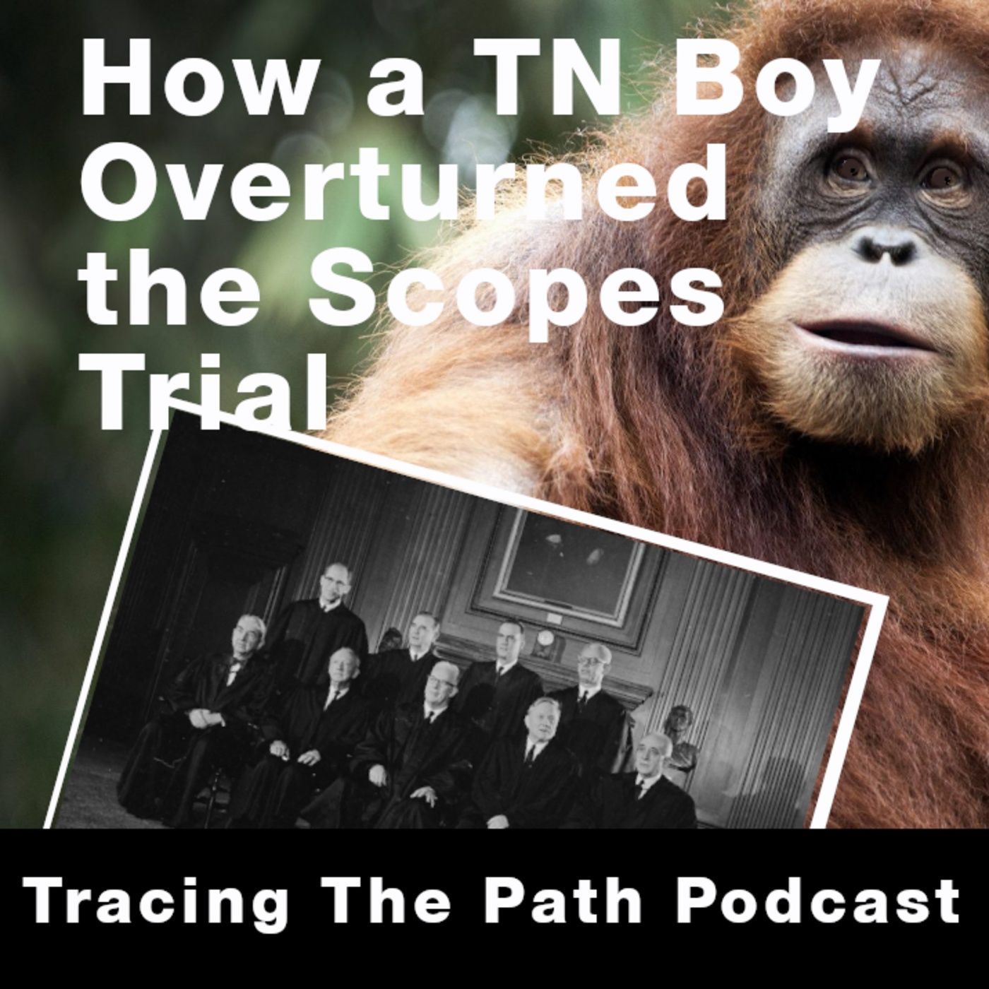 Episode 17: How a Tennessee Student Overturned the Scopes Trial Verdict episode artwork