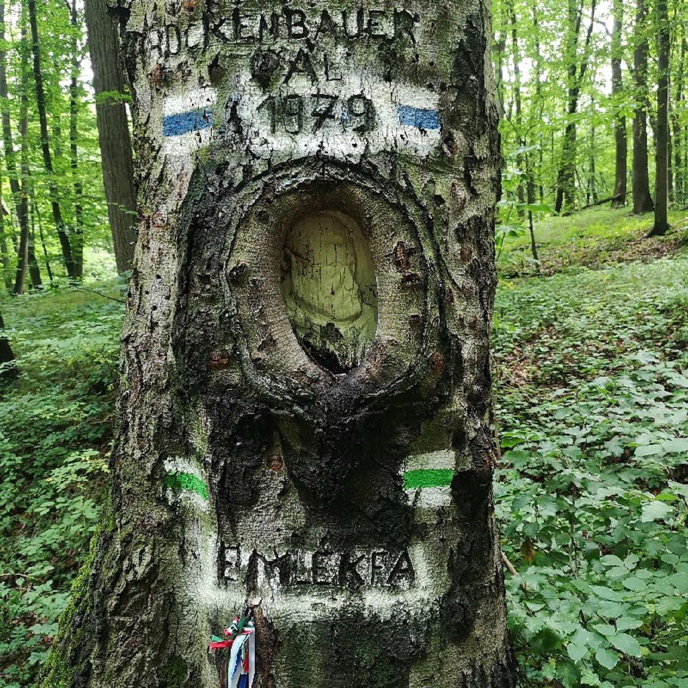 4. nap - Szárliget - Gánt episode artwork