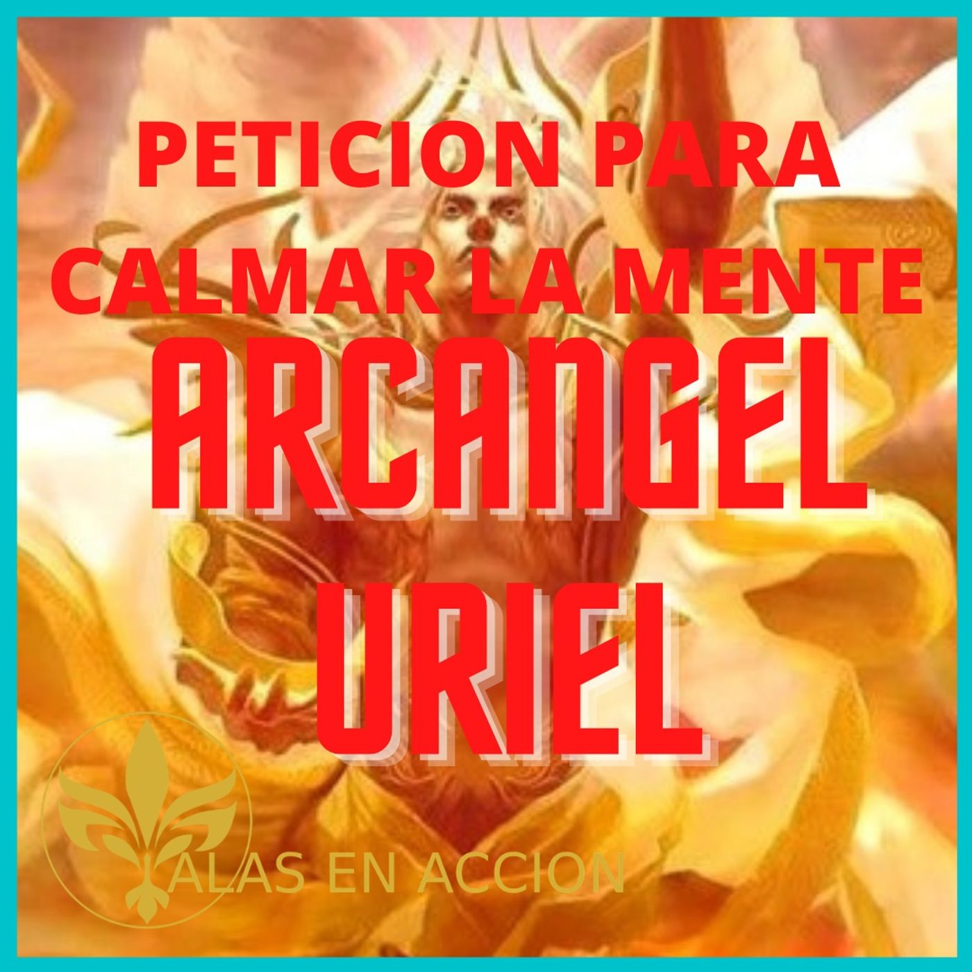 ALAS EN ACCION