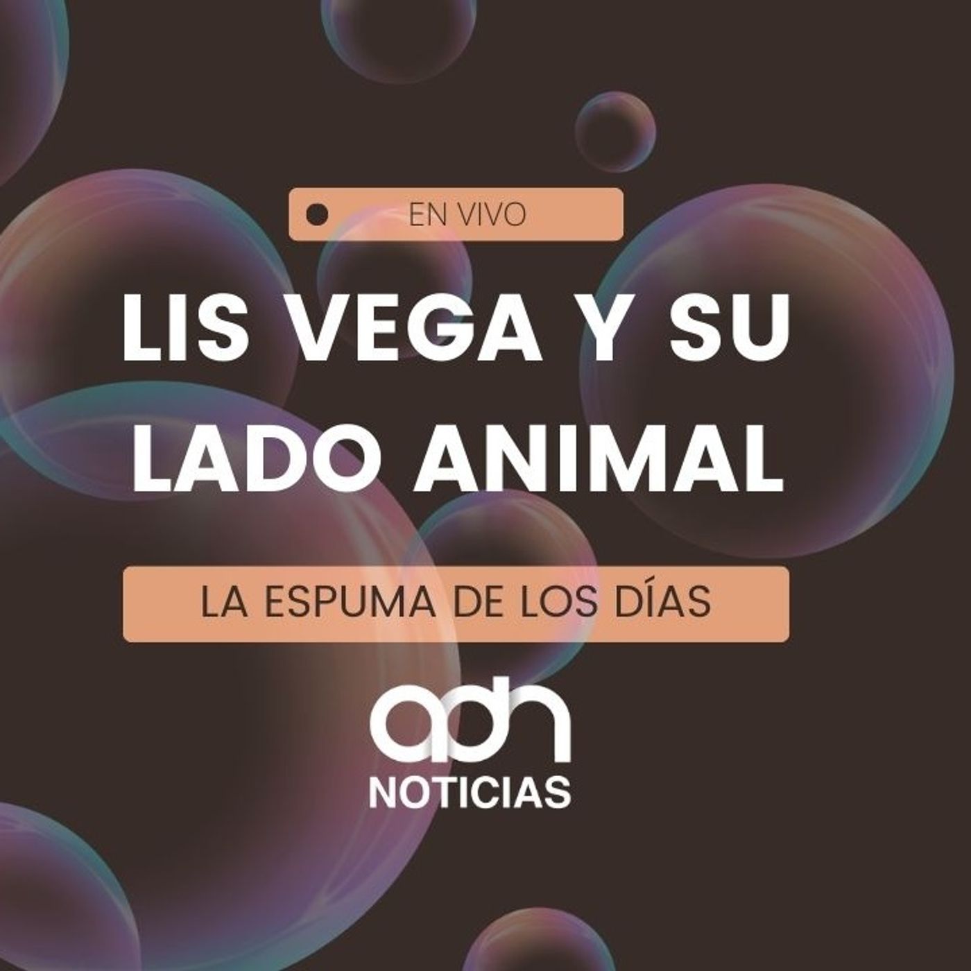 Lis Vega explota: verdades, traiciones y polémica total Lis Vega explota: verdades, traiciones y polémica total
