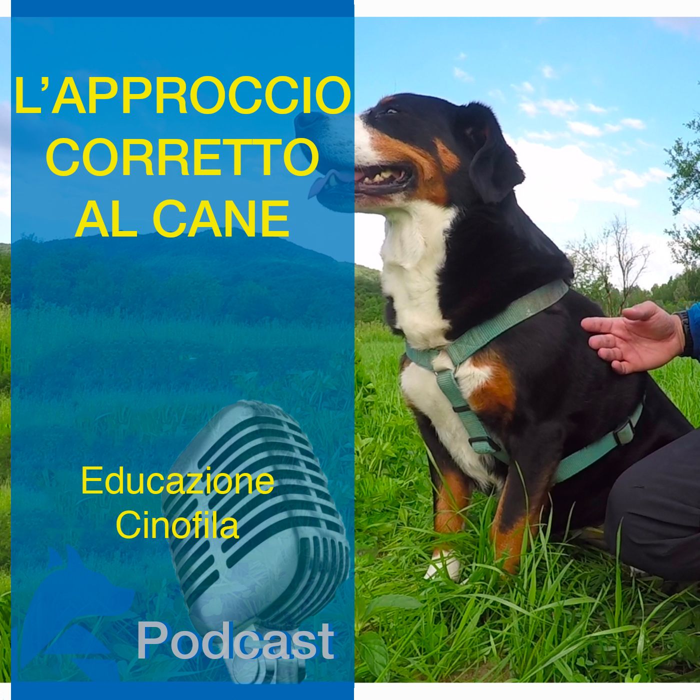 StiCani Educazione Cinofila