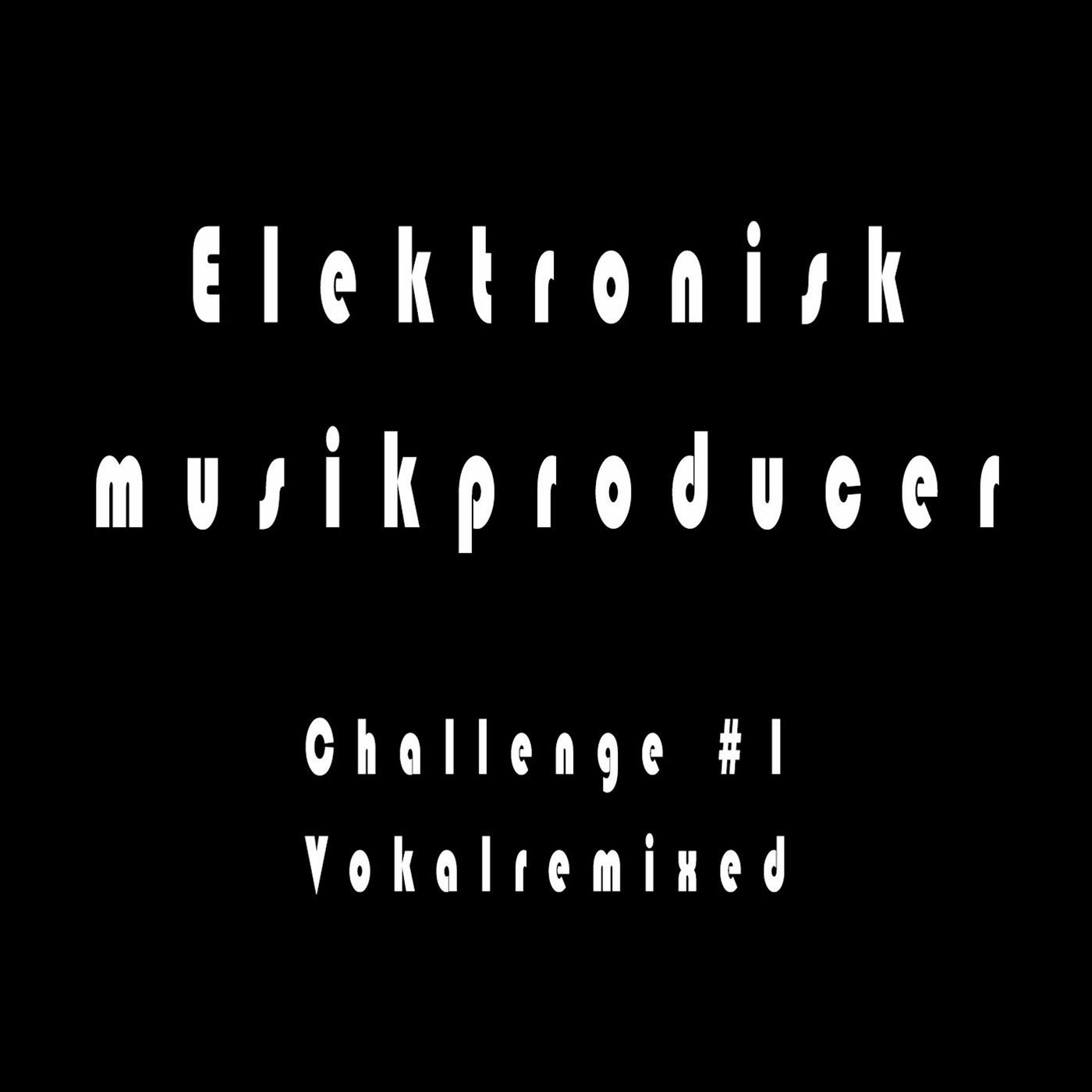 Elektronisk musikproducer
