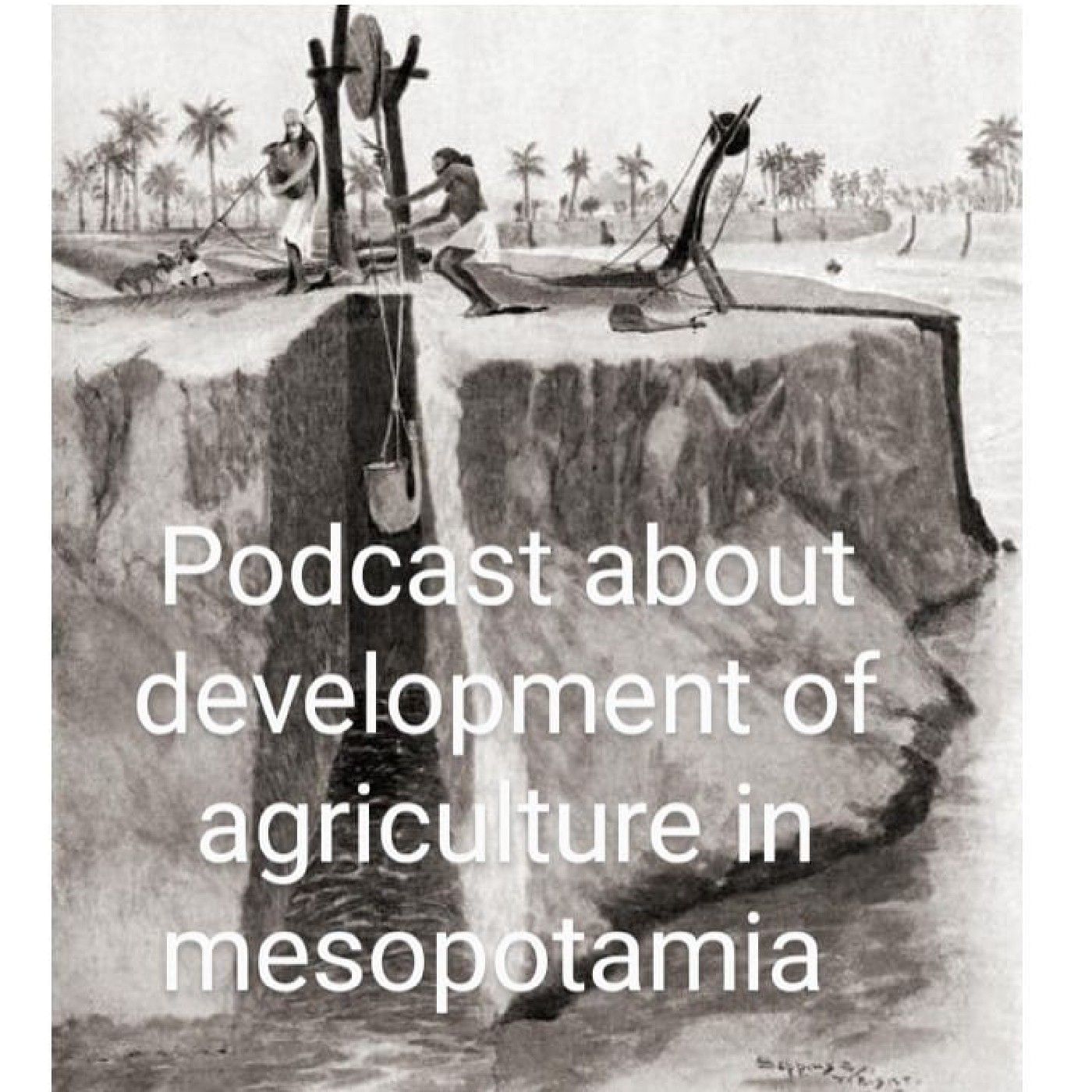 SEEDS OF CIVILIZATION.