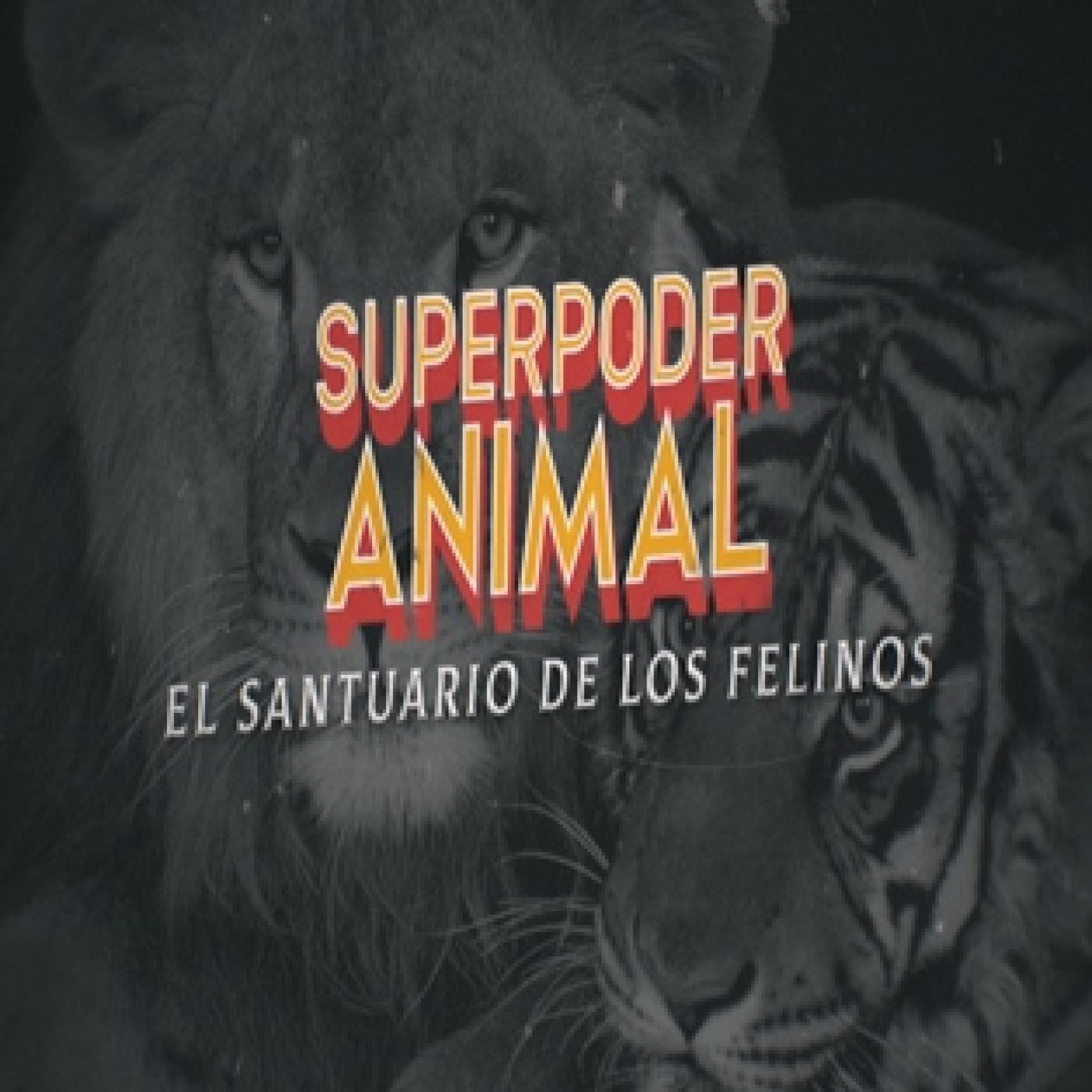 Cuarto Milenio: El santuario de los felinos