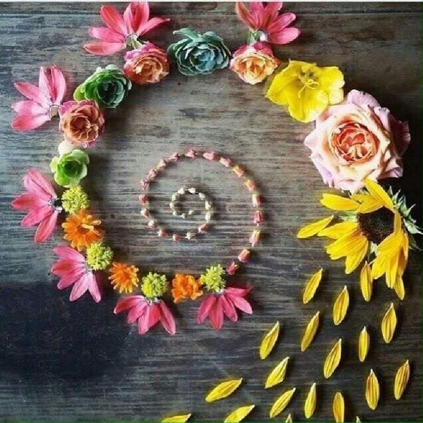 Cómo Crecer Bucay 🌱🌹
