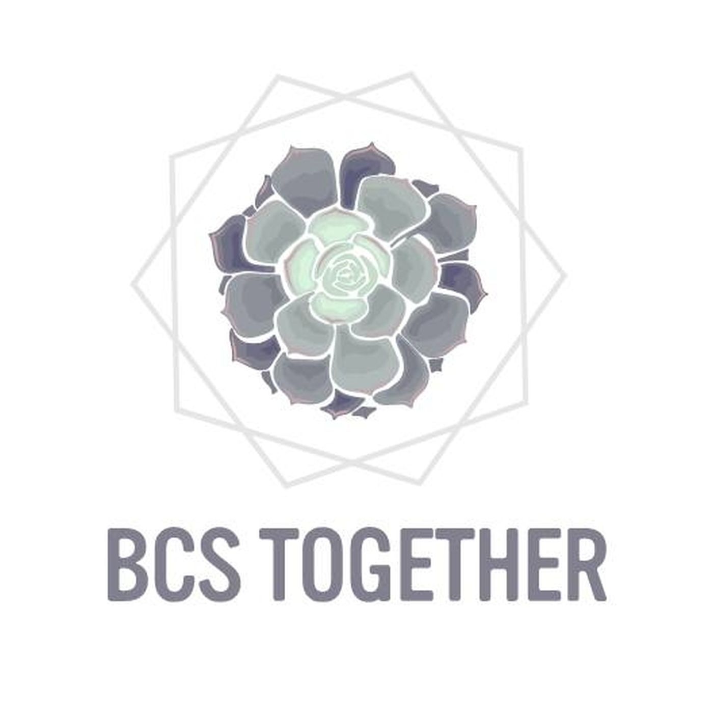 BCS Together Launches Capital Campaign for New Facility episode artwork