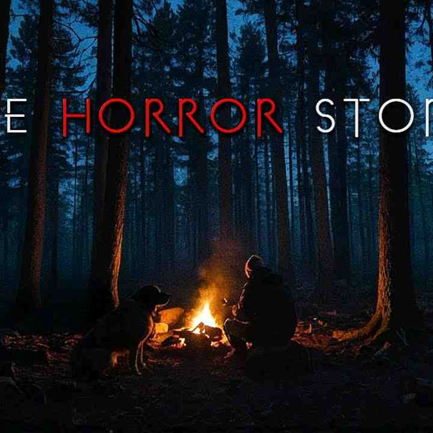 3 Creepy True Alone in the Woods Horror Stories _ Vol. 2(MP3_160K) episode artwork
