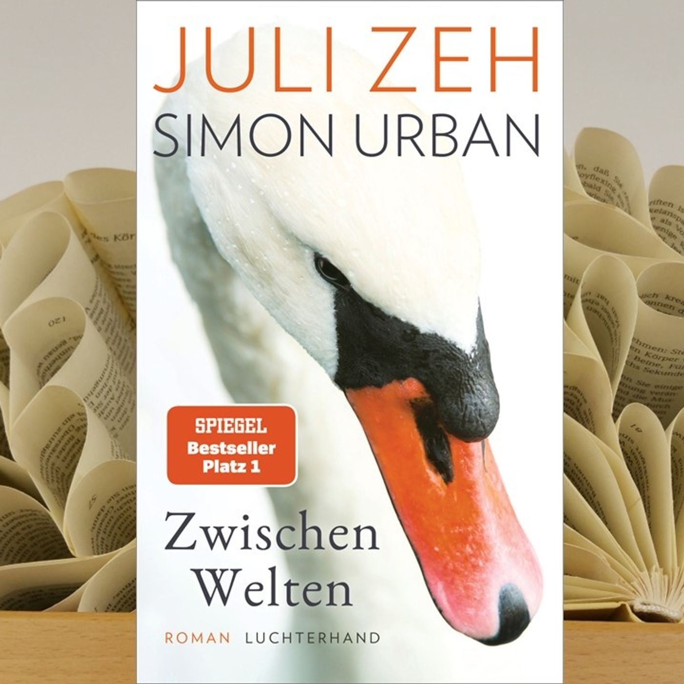 LesBar im Stern-Zimmer