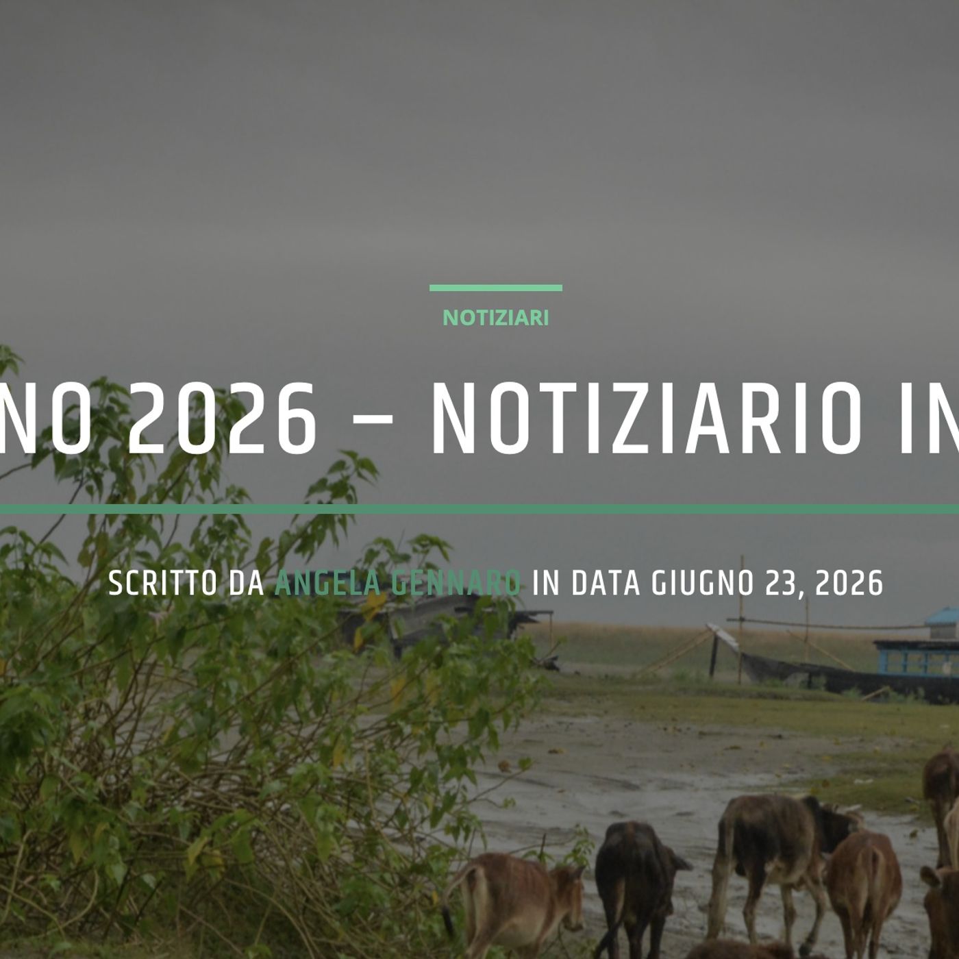 23 giugno 2026 - Notiziario in genere episode artwork