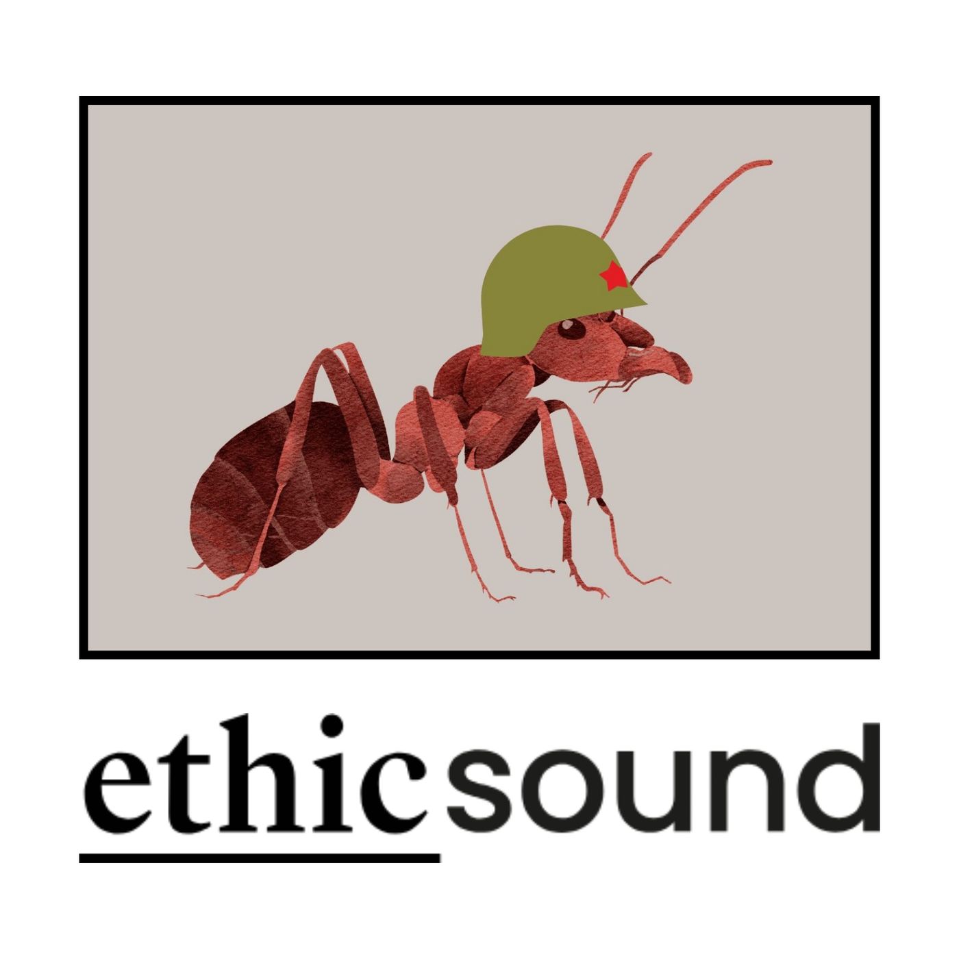 La vida secreta de las hormigas