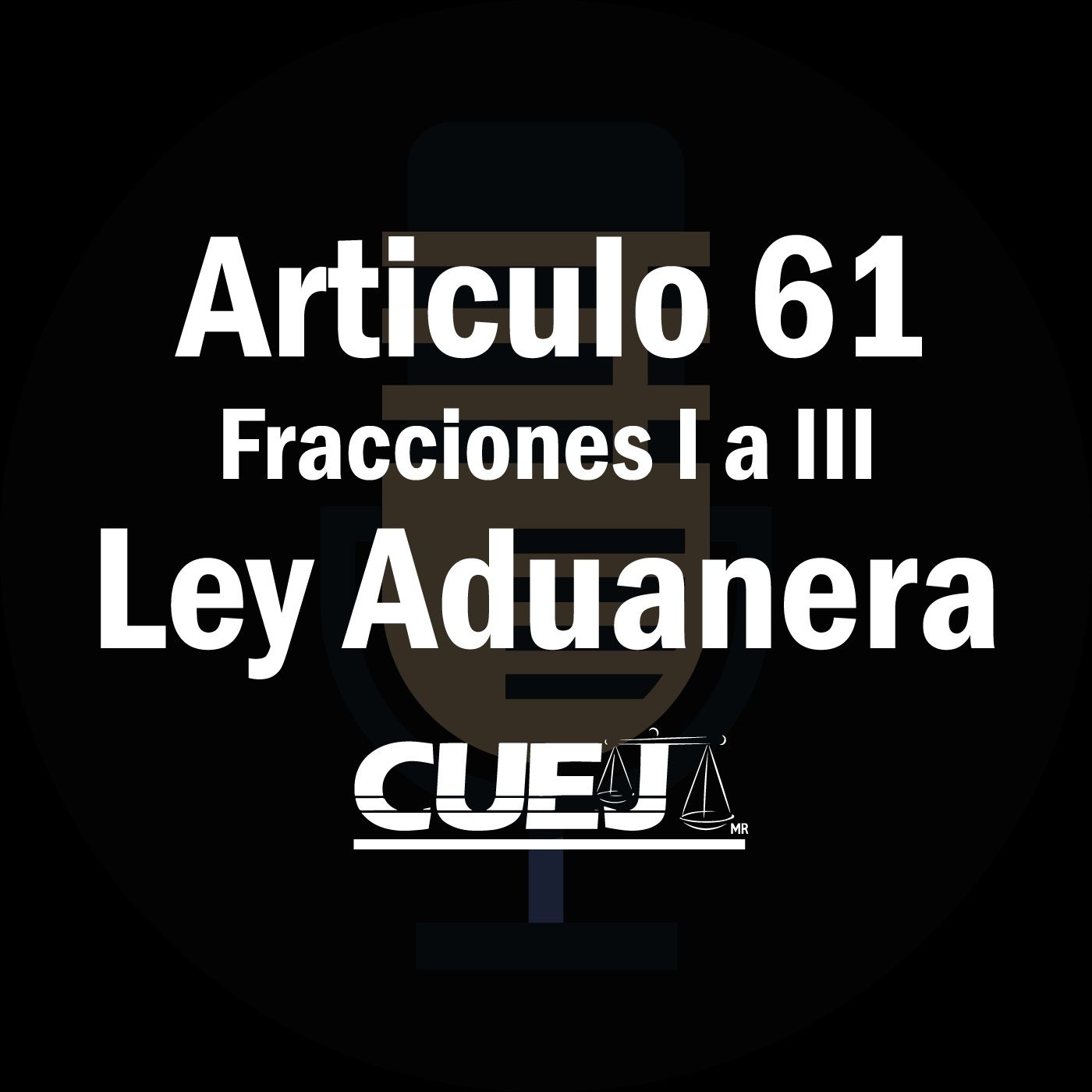 Audio Ley Aduanera