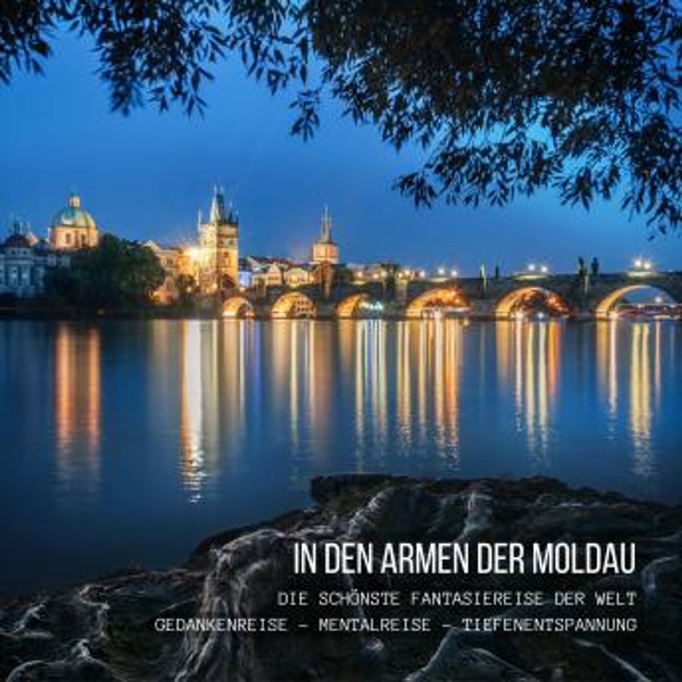 Download Best Full-Length Audiobooks in Health & Wellness, Mindfulness & Meditation