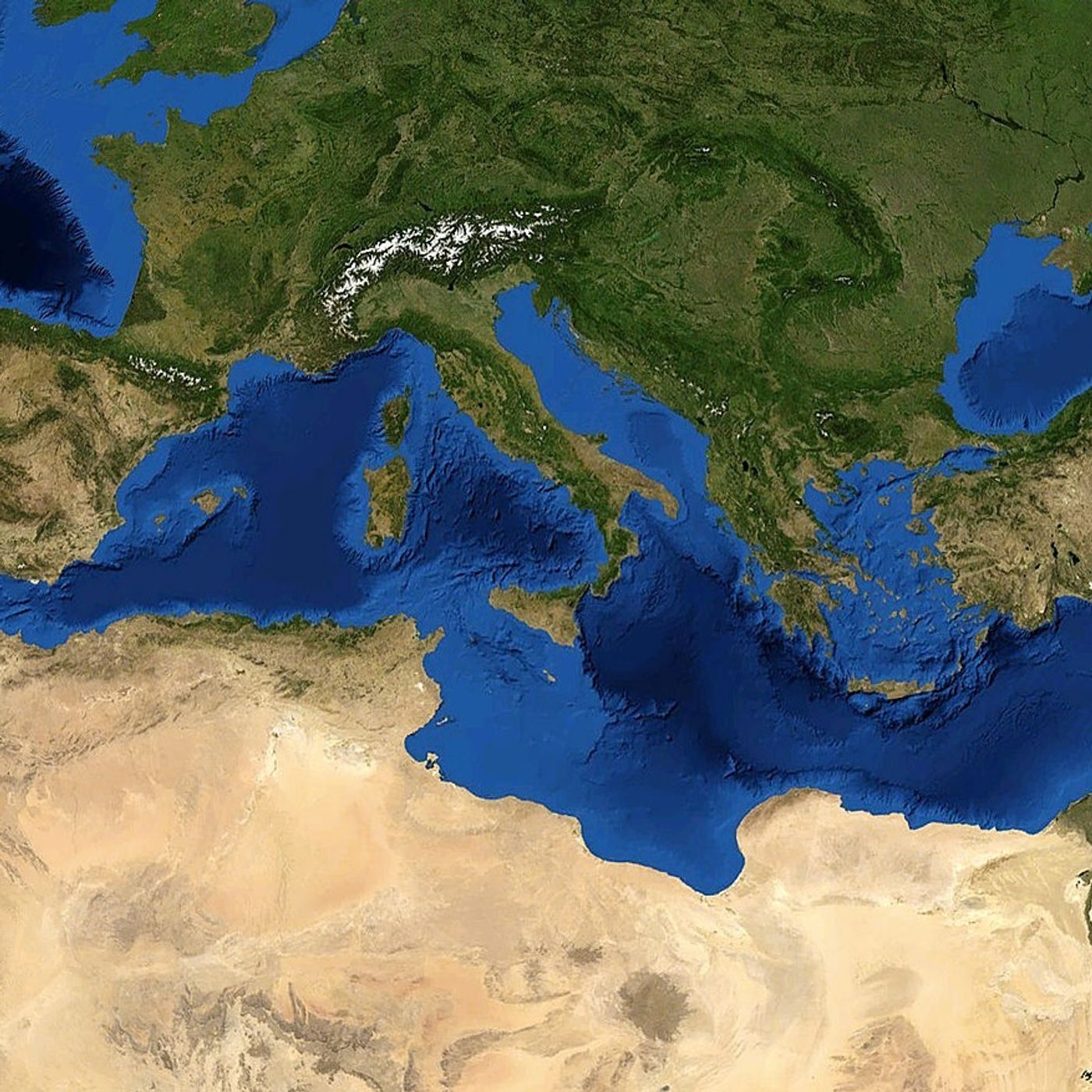 Geopolitales