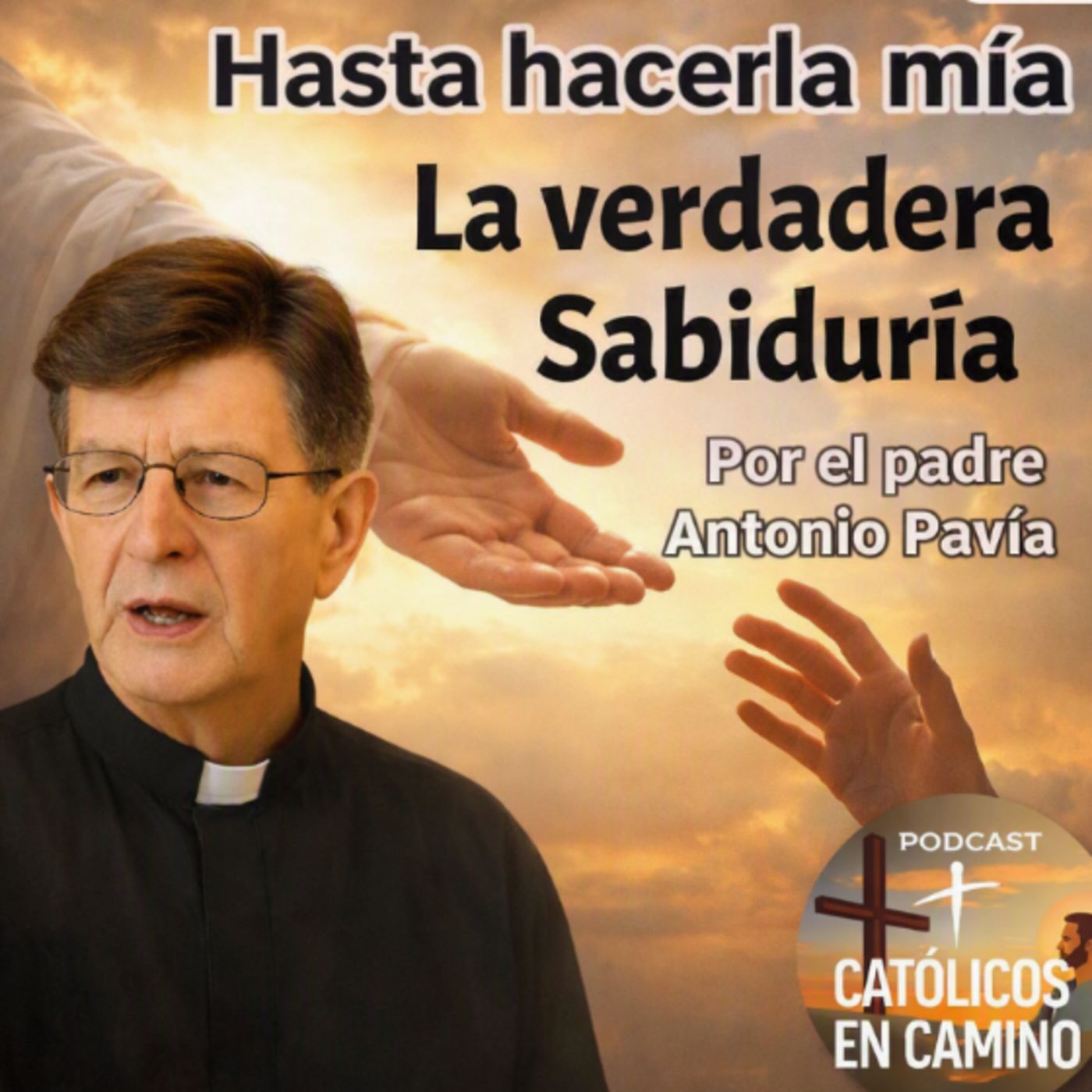 La Verdadera Sabiduría 
5_ Hasta hacerla mía
 catequesis Padre Antonio Pavia episode artwork
