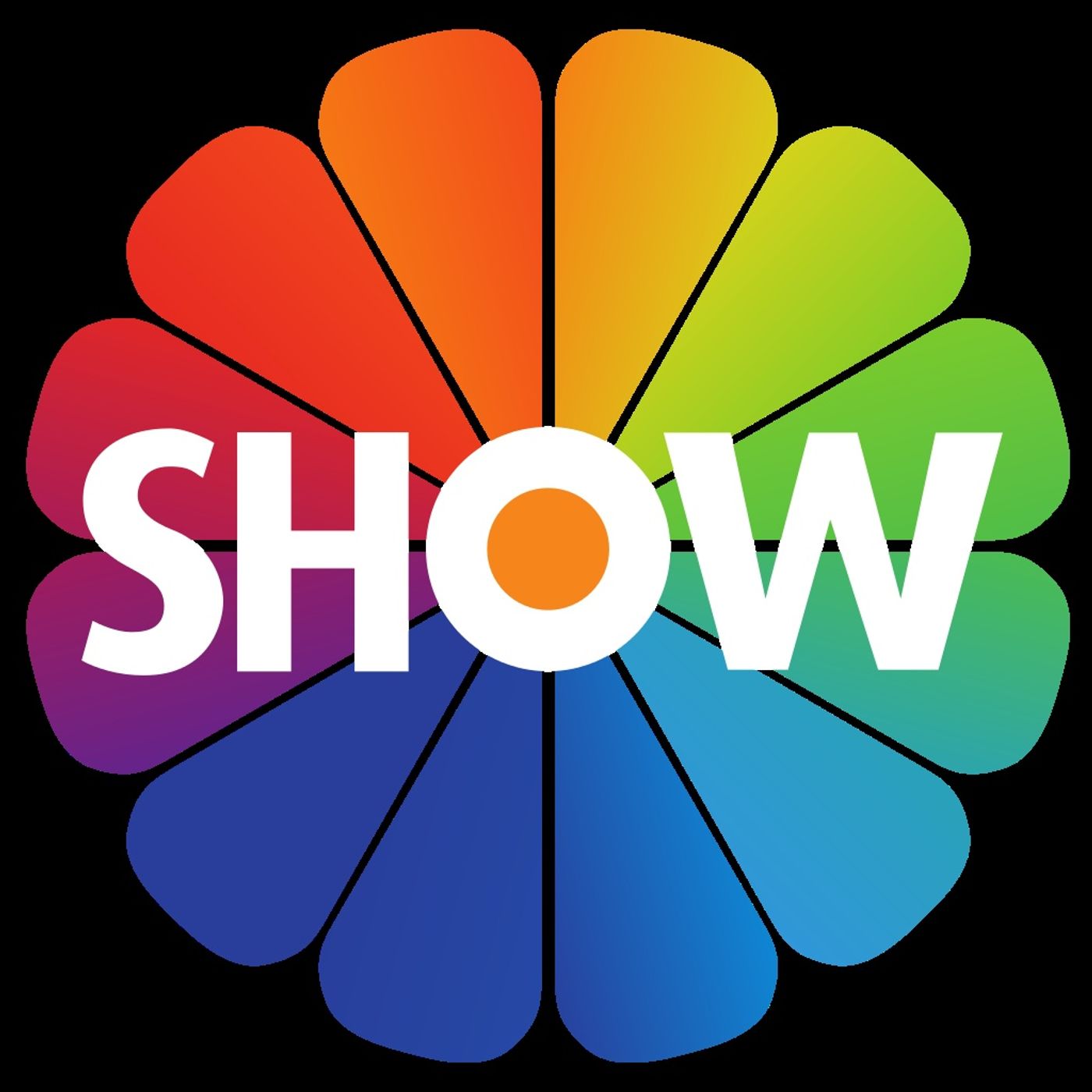 Top 5 Shows I Like episode artwork