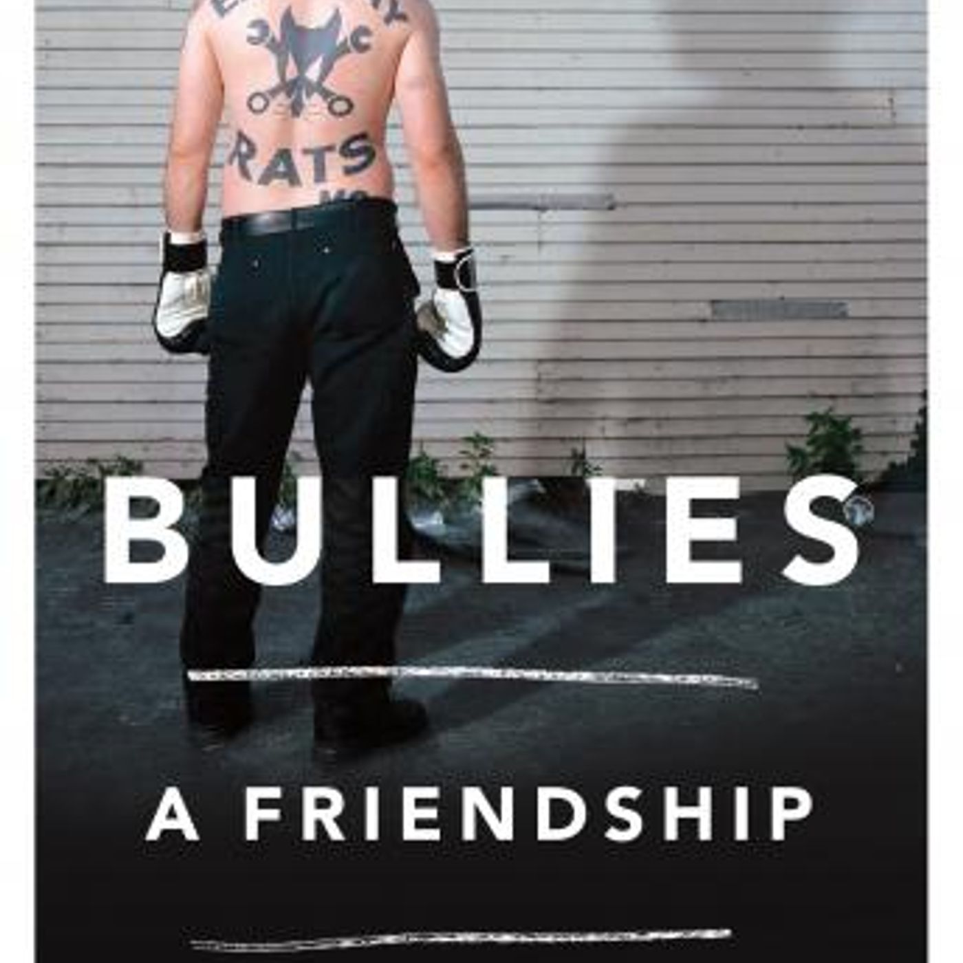 Bullies: A Friendship by Alex Abramovich episode artwork