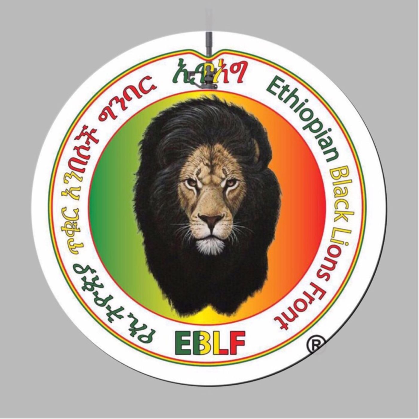ታጥቀህ መክትና አጥቃ! episode artwork