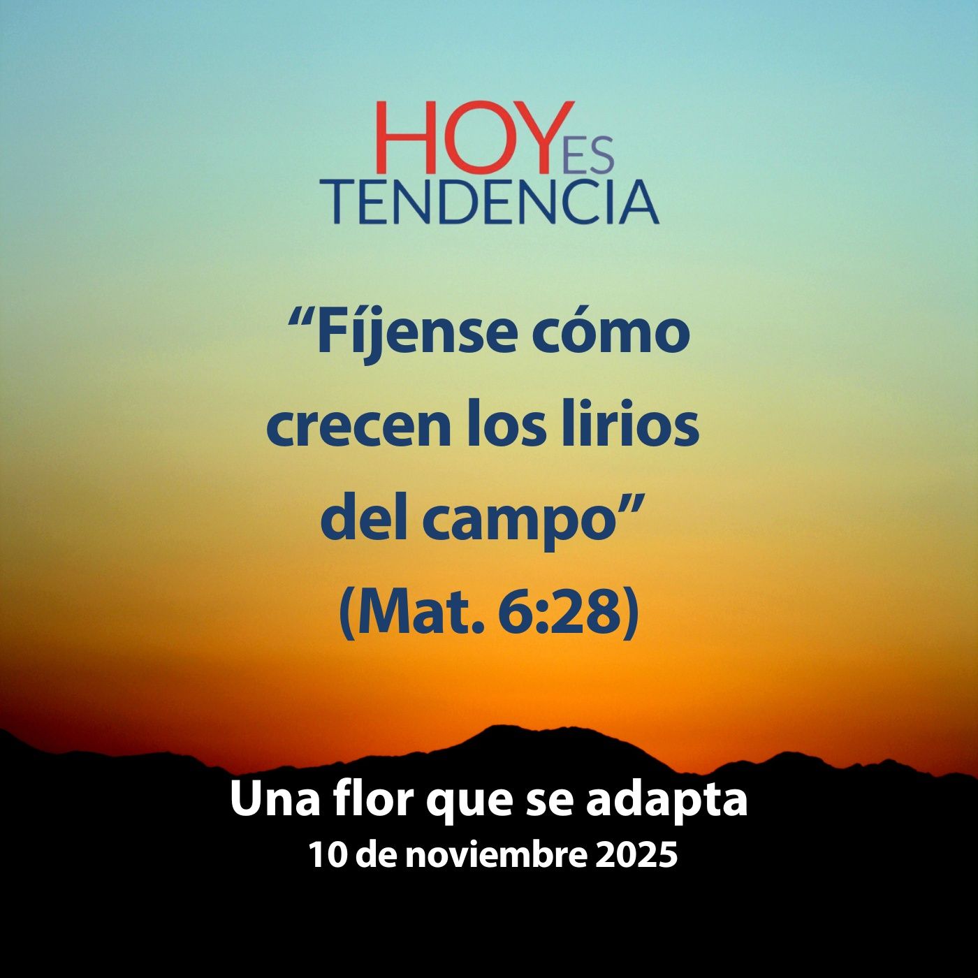 Una flor que se adapta ~ Devocional de Jóvenes ~ 10 de noviembre 2025