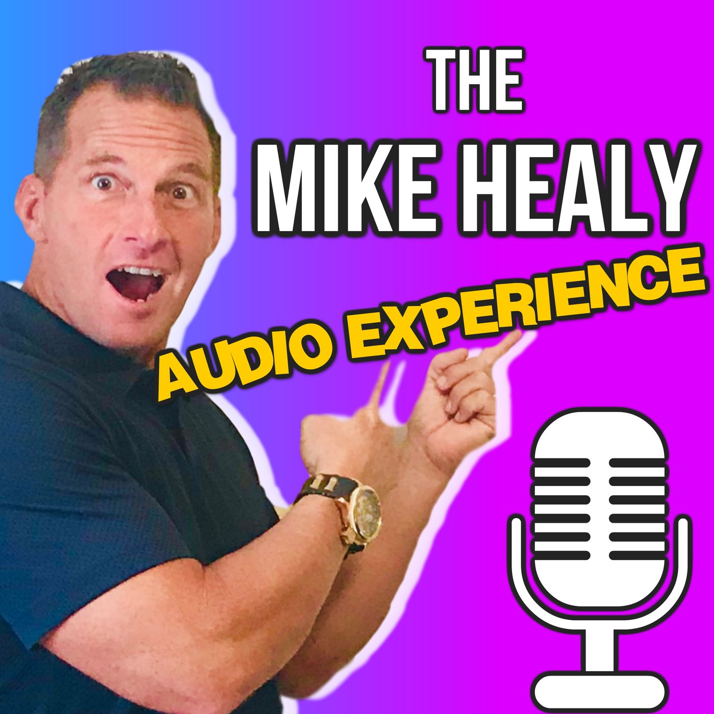 Mike Healy Audio Experience