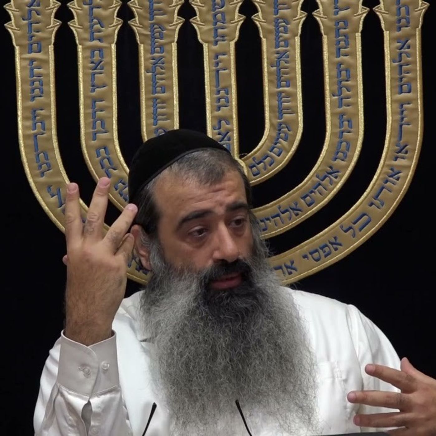 "הבינה" | "תומר דבורה" שיעור 18 "Tomer Devorah" (29 בפועל) episode artwork