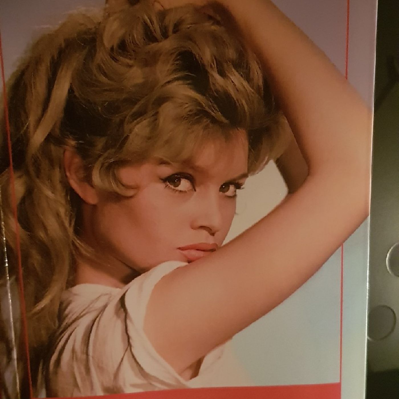 Icone : Brigitte Bardot  - BB