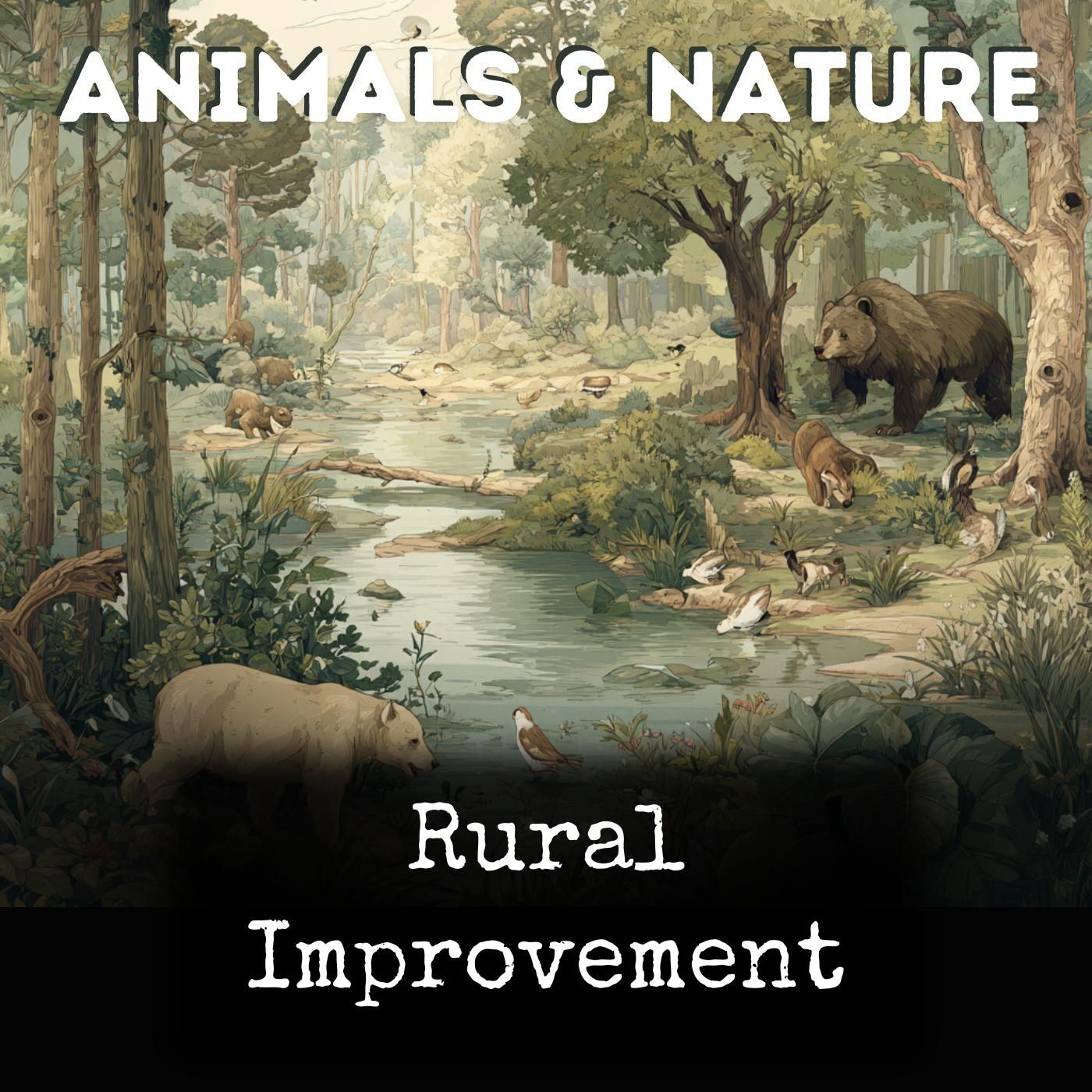Rural Improvement cover art