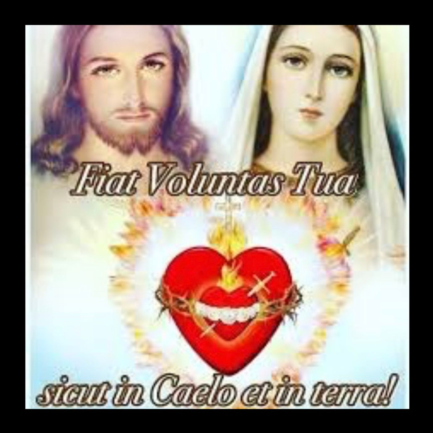 〽️🌹 Rosario. Misteri GLORIOSI D.V. (Cenacolo S. Famiglia 13-10-18) episode artwork